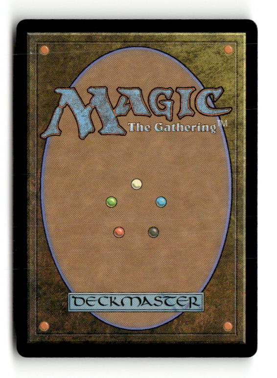 Swamp (445) (Retro Frame) (Back)