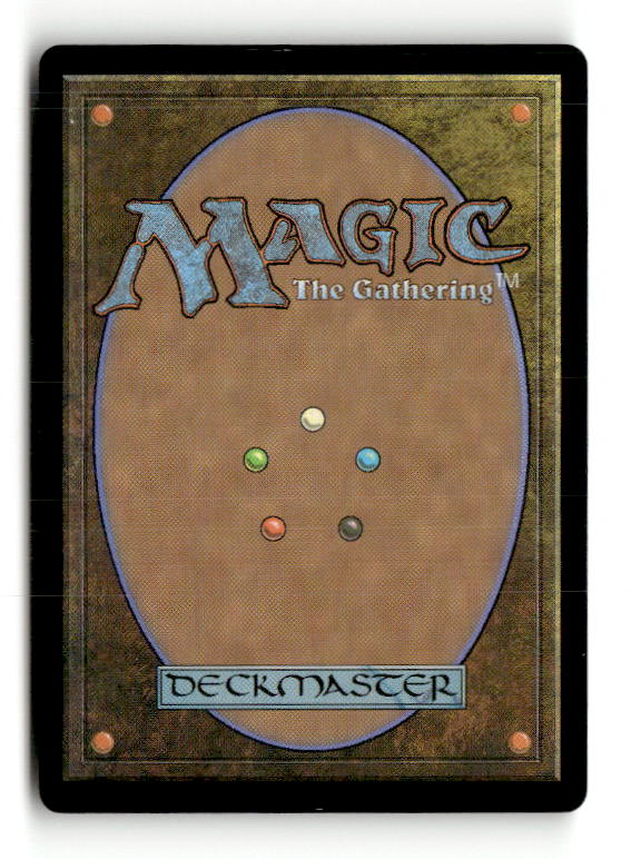 Swamp (443) (Retro Frame) (Back)