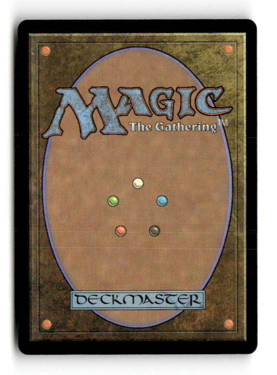 Custodi Squire (Back)