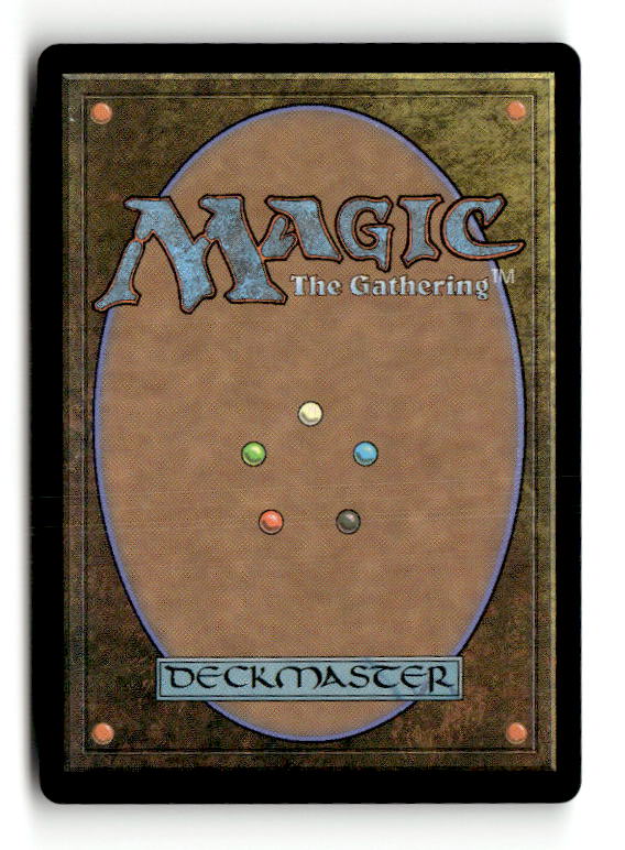 Frantic Search (Borderless) (Back)