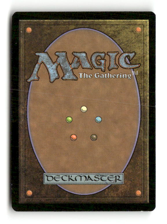 Basilica Screecher (Back)