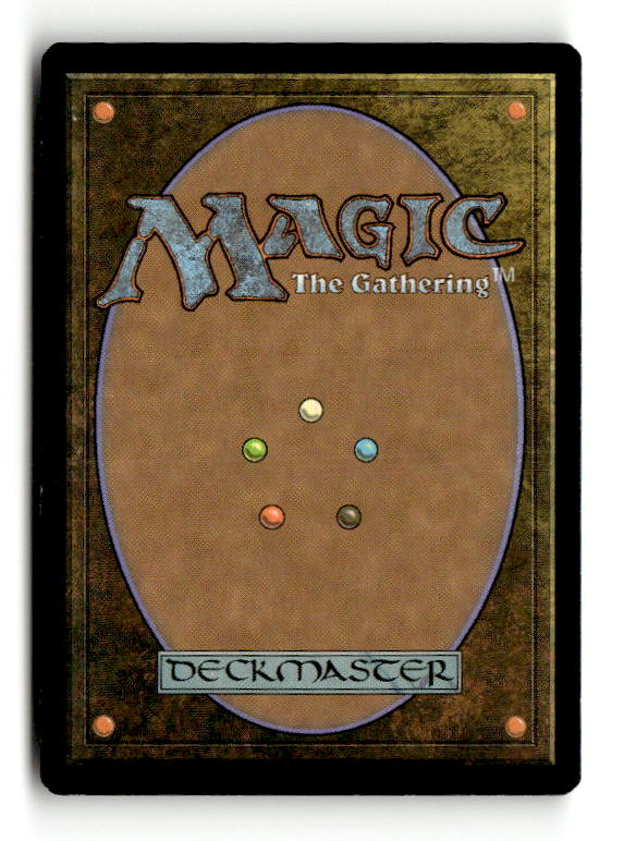 Saruli Gatekeepers (Back)