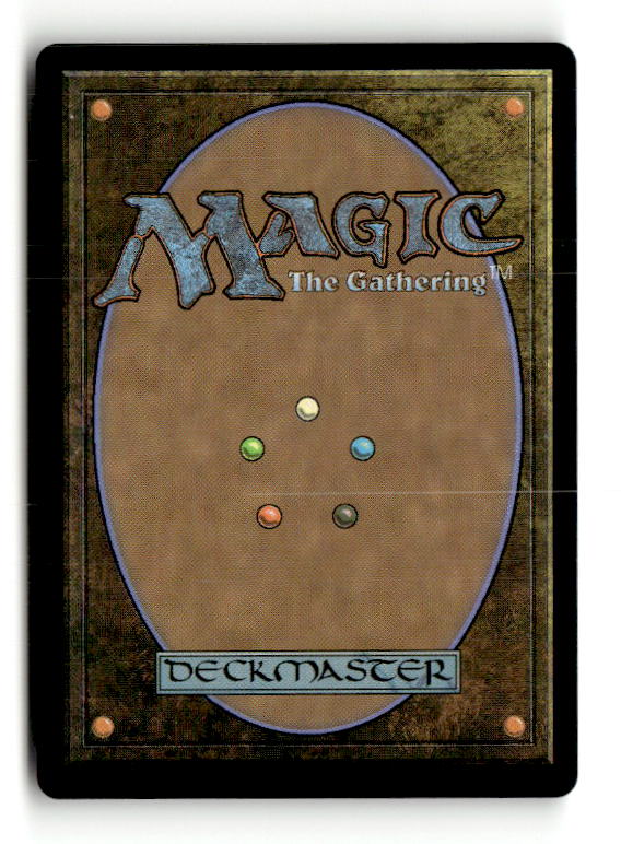 Twinflame Travelers (Back)