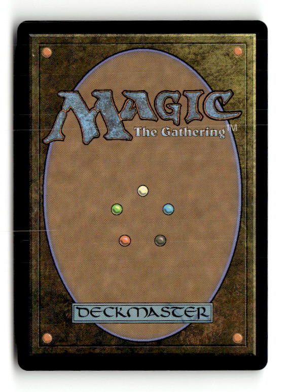 Noggle the Mind (Back)