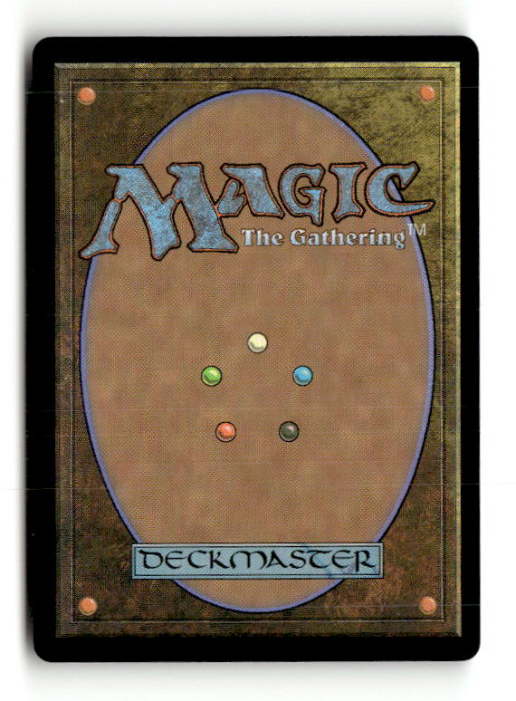Swamp (444) (Retro Frame) (Back)
