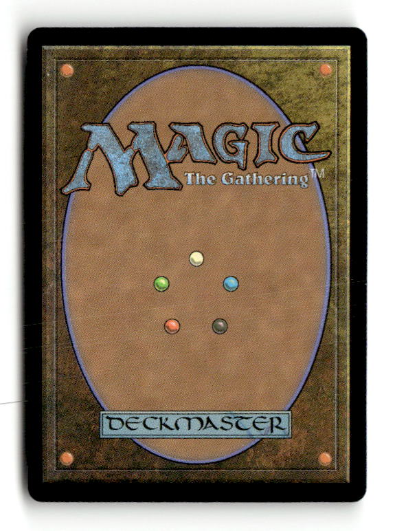 Waylaying Pirates (Back)