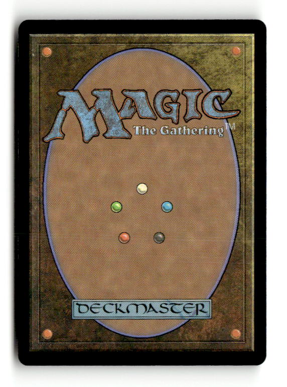 Feed the Swarm (Back)
