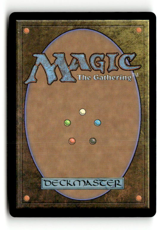 Windrider Wizard (Back)